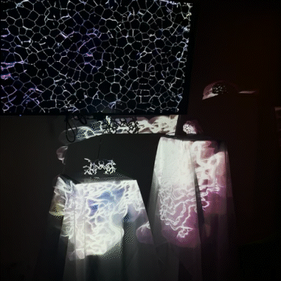 Interaction — audio reactive